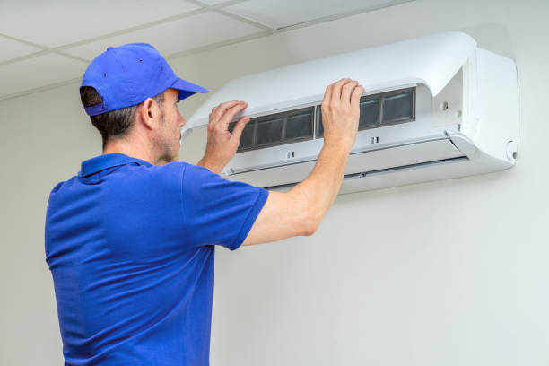 Best Air Duct Mold Removal  in USA